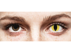Yellow Cat Eye контактные линзы - ColourVue Crazy (2 цветные линзы)