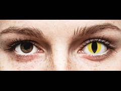 Yellow Cat Eye контактные линзы - ColourVue Crazy (2 цветные линзы)