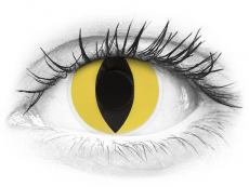 Yellow Cat Eye контактные линзы - ColourVue Crazy (2 цветные линзы)