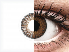 Brown контактные линзы - TopVue Color (10 однодневных цветных линз)