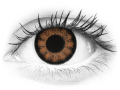 Sexy Brown контактные линзы - ColourVue BigEyes (2 цветные линзы)