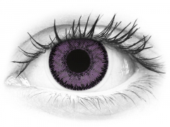 Purple Indigo контактные линзы - SofLens Natural Colors - Power (2 месячные цветные линзы)