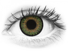 Green контактные линзы - FreshLook One Day Color (10 однодневных цветных линз)