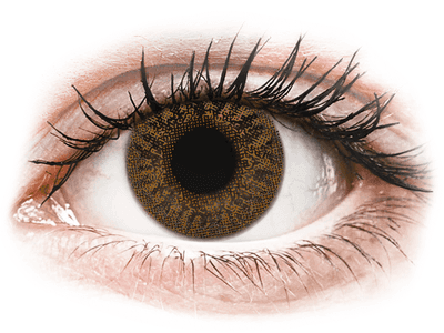 Brown Honey контактные линзы - TopVue Color