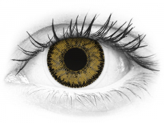 Dark Hazel контактные линзы - SofLens Natural Colors (2 месячные цветные линзы)