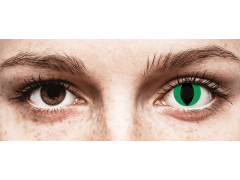 CRAZY LENS - Cat Eye Green - без диоптрий (2 однодневных цветных линз)