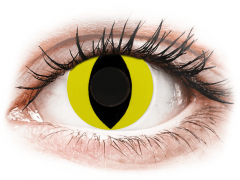 CRAZY LENS - Cat Eye Yellow - без диоптрий (2 однодневных цветных линз)