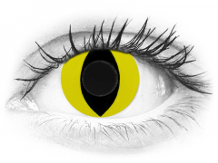 CRAZY LENS - Cat Eye Yellow - без диоптрий (2 однодневных цветных линз)